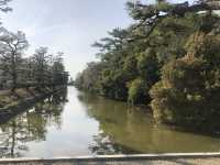 🪦日本最大の古墳！大山古墳をご紹介