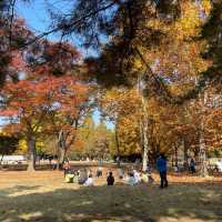 Autumn in Seoul Olympic Park