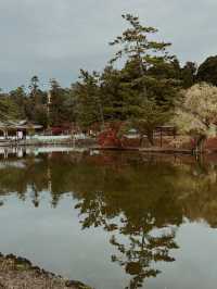 日本大阪必去景點-奈良公園
