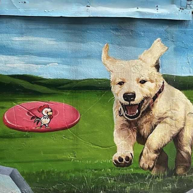 彰化忠權社區 🖌 有各種可愛的彩繪🖍狗狗🐶與你合照📷