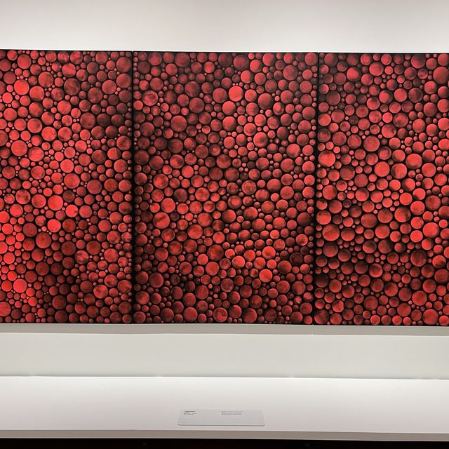 文青活動：草間彌生展覽