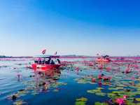BOATING IN THE RED LOTUS SEA