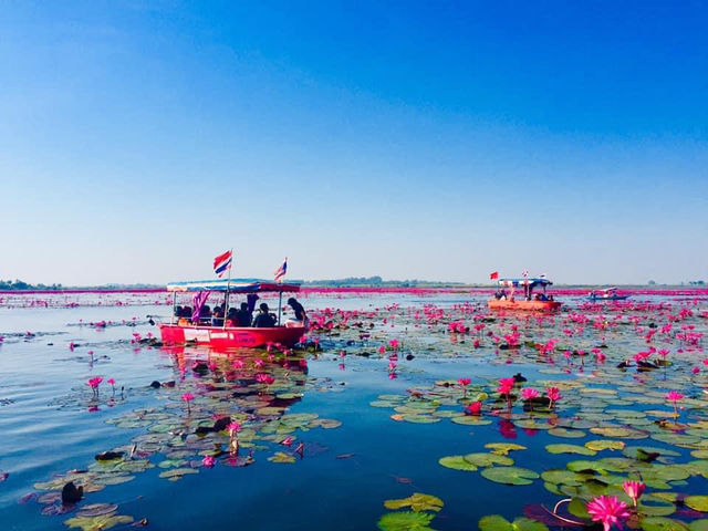 BOATING IN THE RED LOTUS SEA
