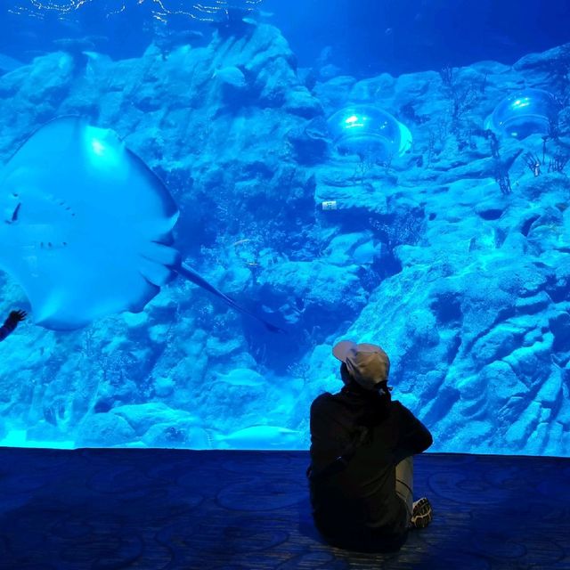 集體回憶海洋公園