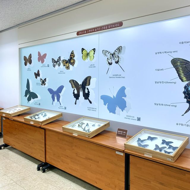 [🇰🇷, 진주] 산림박물관 전시회, ‘수목원 속 작은 친구들’ 🦋