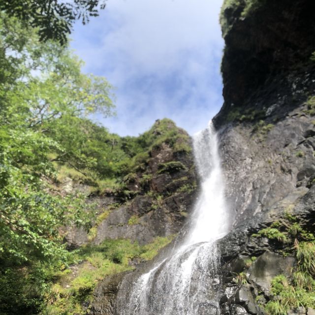 ㄧ日冒險王⛰阿里磅瀑布登山步道