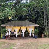 Tiarasa Escapes Glamping, Janda Baik