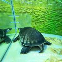 免費動物全接觸
