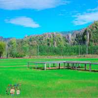 คาเฟ่ที่น่ามาที่สุดในเนินมะปราง