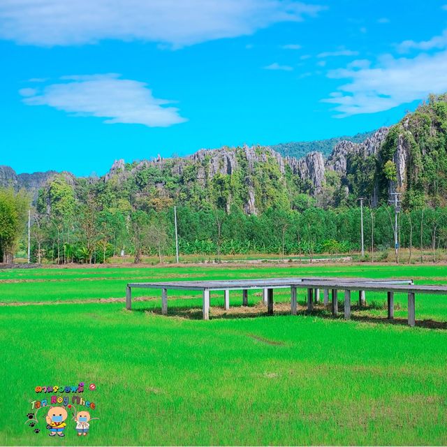 คาเฟ่ที่น่ามาที่สุดในเนินมะปราง