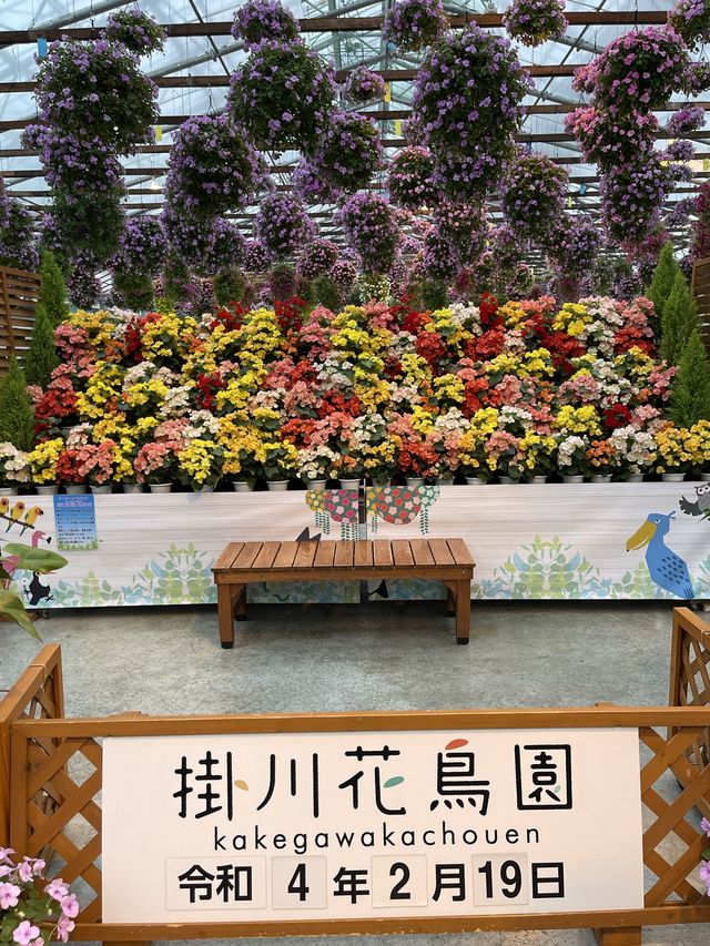 【掛川花鳥園】「花と鳥とのふれあい」が楽しめるテーマパーク