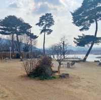 [남양주] 리버뷰 카페 "폴콘 리버가든 팔당" ☕️ 