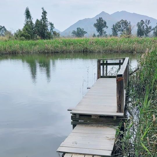 南生圍橫水渡 南生圍橫水渡
