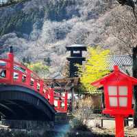 EDO WONDERLAND 日光江戸村
