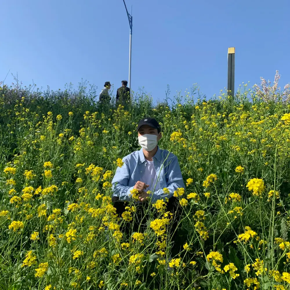 유채꽃, 벚꽃 한 번에 볼 수 있는 부산[삼락공원🌳]