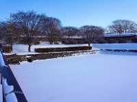 北海道　冬の道南観光！オススメ観光スポット　函館五稜郭タワー〜五稜郭公園