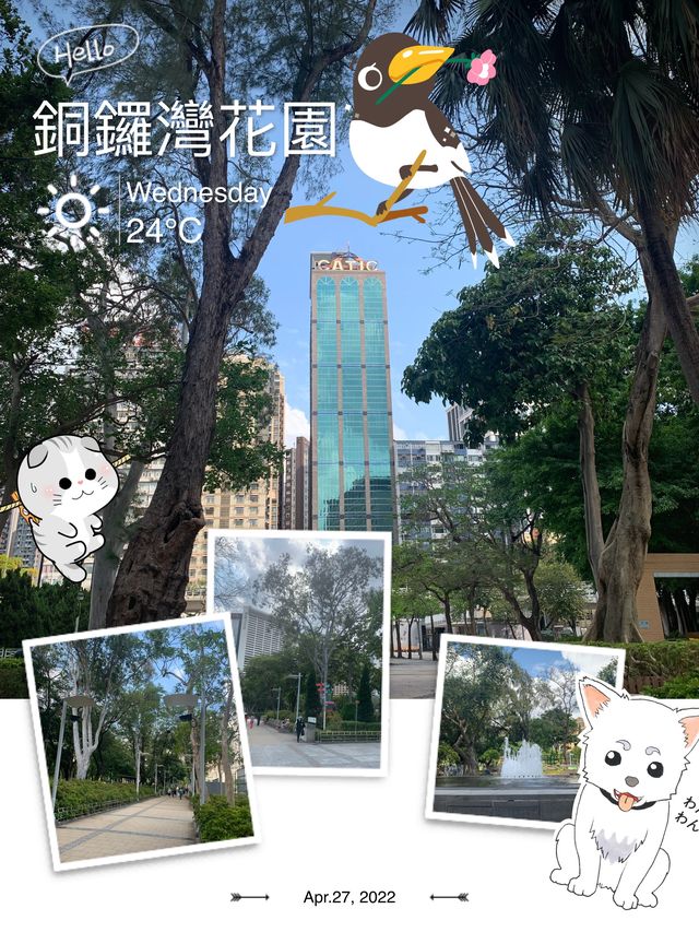 城市中的一點綠-銅鑼灣花園