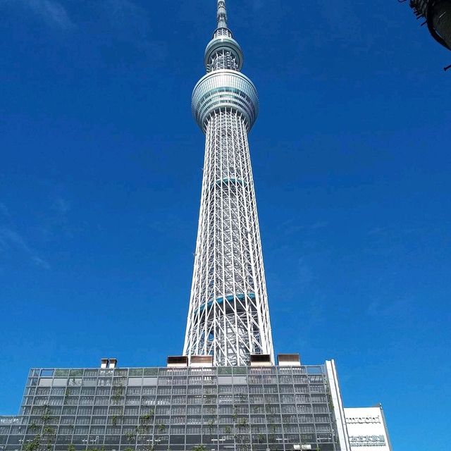 Tokyo Skytree the Tallest Tower 