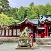 箱根神社でフィトンチッドシャワーを🌲