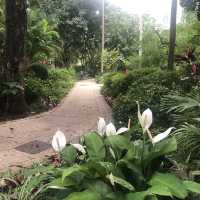 環境舒適嘅市區公園