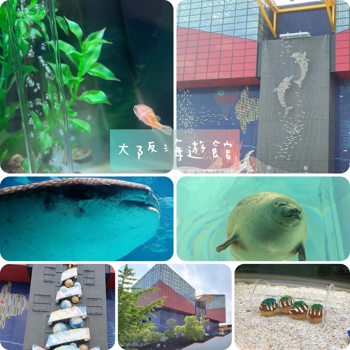 日本 台場彩虹 橋巨型高達 勁多景點之地 Trip Com 日本trip Moments 貼文 日本 台場彩虹 橋巨型高達 勁多景點之地 Trip Com 日本trip Moments 貼文