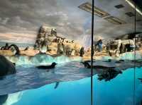 名古屋港水族館