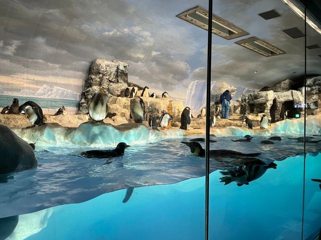 名古屋港水族館