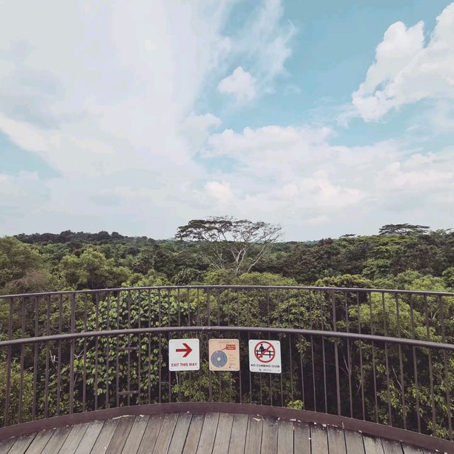 Scenic Walk to Bukit Timah Nature Reserve