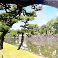 【東京】日本100名城「江戸城」を散策！