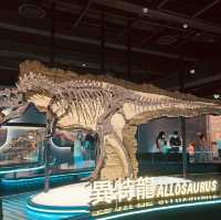 恐龍🦖暑日之旅