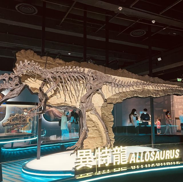 恐龍🦖暑日之旅