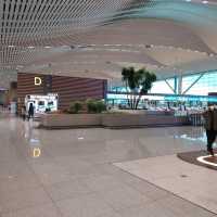 Vibrant again, Incheon International Airport