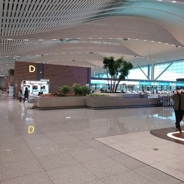 Vibrant again, Incheon International Airport