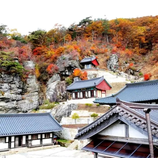 단풍이 아름다원 산 이름이 되다