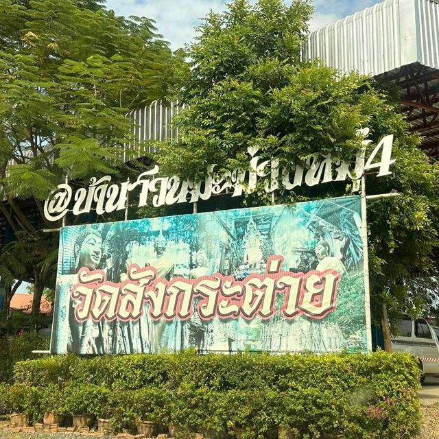 วัดสังกระต่าย​  มหัสจรรย์ต้นโพธิ์ล้อมโบสถ์​400ปี