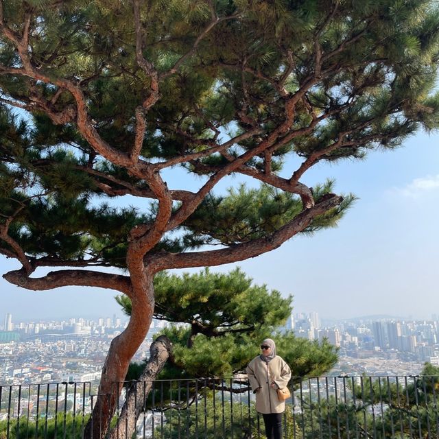 Suwon Hwaseong Fortress 