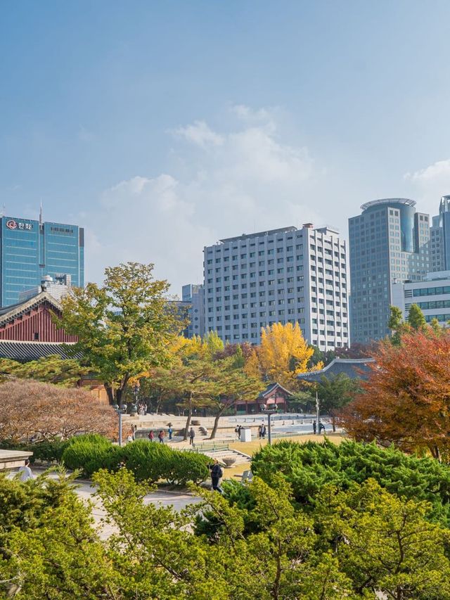 나들이 피크닉 가기 좋은 덕수궁