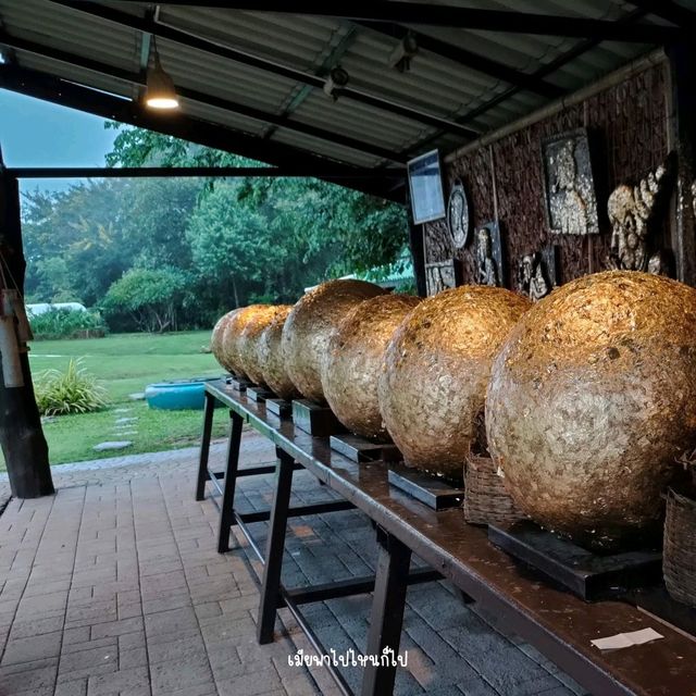 ทะเลหมอกในวัดเรืองแสง อุบลราชธานี
