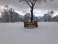 長野⛷🏂 世界屈指の人気！野沢温泉スキー場をご紹介