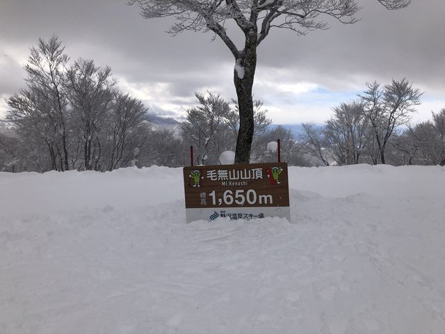 長野⛷🏂 世界屈指の人気！野沢温泉スキー場をご紹介