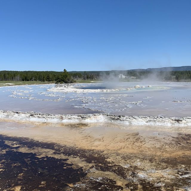 Yellowstone speaks for itself…just listen 💥