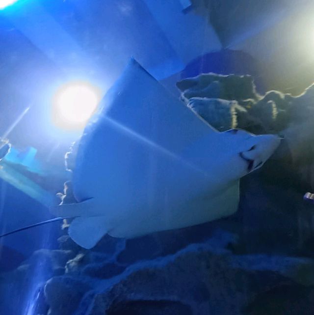 School Holidays Activities at Aquaria KLCC