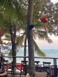 SEASIDE BAR WITH SUPERB COCKTAILS 🍹 