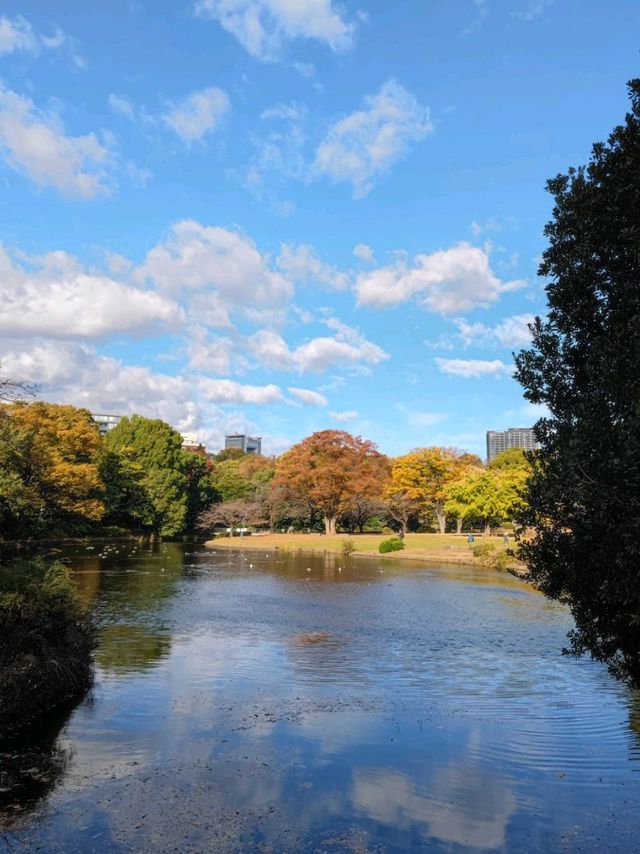 Walkers paradise in the heart of Tokyo!! 