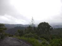 Munmar - Misty Hill Station 