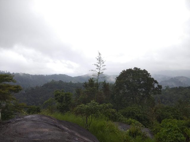 Munmar - Misty Hill Station 
