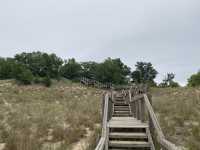 Trail 4 - Indiana Dunes State Park 