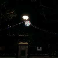 Christmas lights at Ma Wan