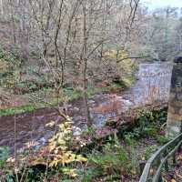 Roslin Glen Country Park walk 🍂🏴󠁧󠁢󠁳󠁣󠁴⛰