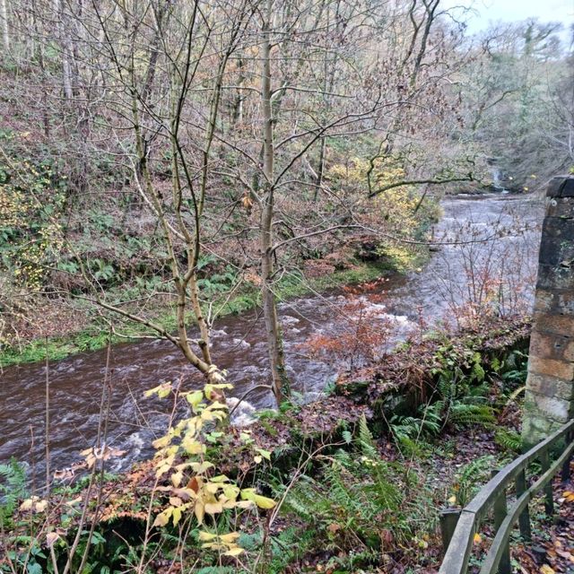 Roslin Glen Country Park walk 🍂🏴󠁧󠁢󠁳󠁣󠁴⛰